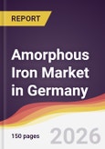Amorphous Iron Market in Germany- Product Image