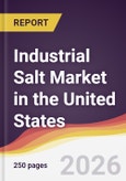 Industrial Salt Market in the United States- Product Image