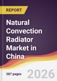 Natural Convection Radiator Market in China- Product Image