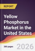 Yellow Phosphorus Market in the United States- Product Image