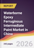 Waterborne Epoxy Ferruginous Intermediate Paint Market in China- Product Image