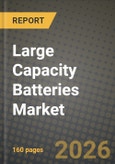 Large Capacity Batteries Market Outlook 2026-2034: Market Share and Growth Analysis- Product Image