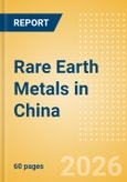 Rare Earth Metals in China- Product Image