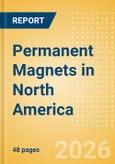 Permanent Magnets in North America- Product Image
