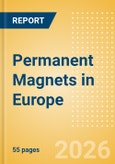 Permanent Magnets in Europe- Product Image