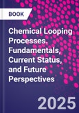 Chemical Looping Processes. Fundamentals, Current Status, and Future Perspectives- Product Image