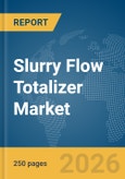 Slurry Flow Totalizer Market Report 2026- Product Image