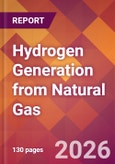 Hydrogen Generation from Natural Gas- Product Image