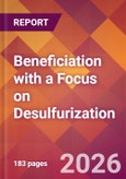 Beneficiation with a Focus on Desulfurization- Product Image