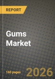 Gums Market Outlook 2026-2034: Market Share, and Growth Analysis by Confectionery Variant (Bubble Gums, Chewing Gums), Sugar Content, Packaging Format, Distribution Channel- Product Image