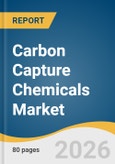 Carbon Capture Chemicals Market Size, Share & Trends Analysis Report by Chemical, Application, Region, and Segment Forecasts, 2026-2033- Product Image