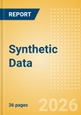 Synthetic Data- Product Image