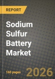 Sodium Sulfur Battery Market Outlook 2026-2034: Market Share, and Growth Analysis by Module Form Factor, Capacity Range, Battery Temperature Type, Installation Type- Product Image
