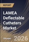 LAMEA Deflectable Catheters Market Size, Share & Industry Analysis Report by Product Type, End User, Application, Country Outlook and Forecast, 2026-2033- Product Image