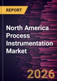 North America Process Instrumentation Market Size and Forecast (2021 - 2031)- Product Image