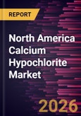North America Calcium Hypochlorite Market Size and Forecast (2021 - 2031)- Product Image