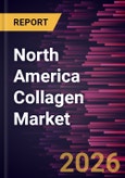 North America Collagen Market Size and Forecast (2021 - 2031)- Product Image