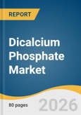 Dicalcium Phosphate Market Size, Share & Trends Analysis Report 2026-2033- Product Image