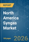 North America Syngas - Market Share Analysis, Industry Trends & Statistics, Growth Forecasts (2026-2031)- Product Image