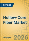 Hollow-Core Fiber Market Size, Share, and Industry Analysis - Global Forecast to 2036- Product Image