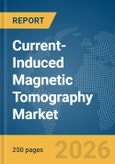 Current-Induced Magnetic Tomography Market Global Report 2026- Product Image