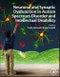 Neuronal and Synaptic Dysfunction in Autism Spectrum Disorder and Intellectual Disability - Product Image
