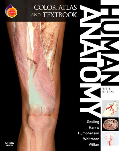 Textbook of human anatomy