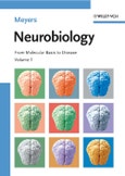 Neurobiology. From Molecular Basis to Disease. Edition No. 1- Product Image