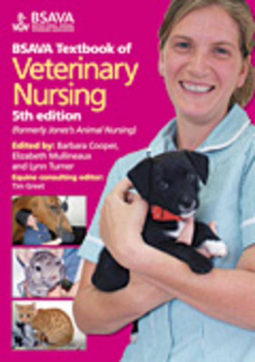 bsava manual of practical veterinary nursing
