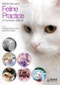 BSAVA Manual of Feline Practice. A Foundation Manual. Edition No. 1. BSAVA British Small Animal Veterinary Association - Product Thumbnail Image