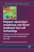 Polymer Electrolyte Membrane and Direct Methanol Fuel Cell Technology. Volume 1: Fundamentals and Performance of Low Temperature Fuel Cells. Woodhead Publishing Series in Energy- Product Image