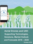Aerial Drones and UAV in Industry and Defense: Supporting Technologies, Solutions, Market Outlook and Forecasts 2018 – 2025- Product Image