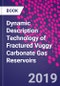 Dynamic Description Technology of Fractured Vuggy Carbonate Gas Reservoirs - Product Thumbnail Image