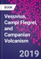 Vesuvius, Campi Flegrei, and Campanian Volcanism - Product Thumbnail Image
