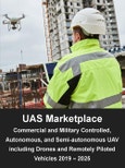 Unmanned Aircraft and Systems (UAS) Marketplace: Commercial & Military Controlled, Autonomous & Semi-autonomous Unmanned Aerial Vehicles including Drones & Remotely Piloted Vehicles (RPV) Global & Regional Market Assessment & Forecasts 2019-2025- Product Image
