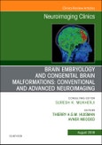 Brain Embryology and the Cause of Congenital Malformations, An Issue of Neuroimaging Clinics of North America. The Clinics: Radiology Volume 29-3- Product Image