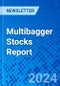 Multibagger Stocks Report - Product Image