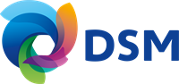 DSM Company  - logo