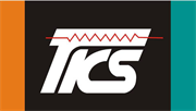 Thinking Electronic Industrial Co Ltd - logo