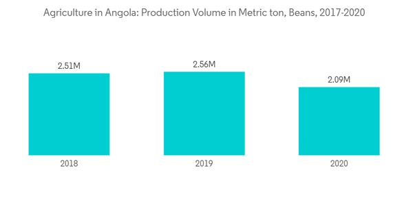 Agriculture In Angola Agriculture In Angola Production Volume In Metric Ton Beans 2017 2020