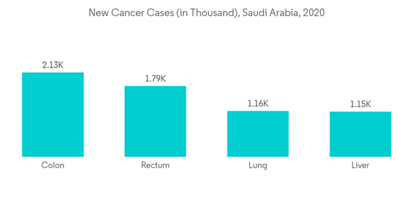Saudi Arabia Active Pharmaceutical Ingredients Api Market New Cancer Cases In Thousand Saudi Arabia 2020