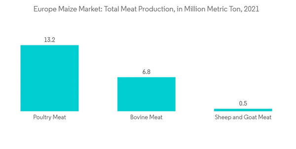 Europe Maize Market Europe Maize Market Total Meat Production In Million Metric Ton 2021