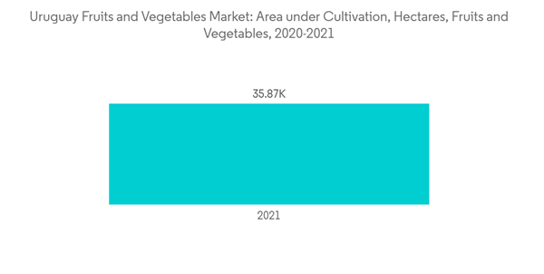 Fruits And Vegetables In Uruguay Uruguay Fruits And Vegetables Market Area Under Cultivation Hectares Fruits And V