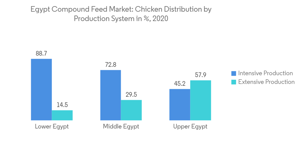 https://www.researchandmarkets.com/content-images/2137/2137689/2/1674627663494_reseller_egyptian-compound-feed-market_Egypt_Compound_Feed_Market_Chicken_Di_original.png