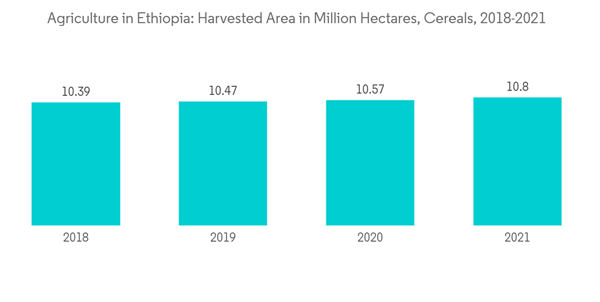 Agriculture In Ethiopia Agriculture In Ethiopia Harvested Area In M