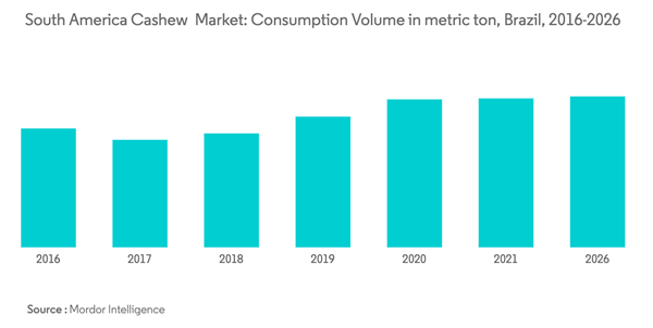 South America Cashew Market South America Cashew Market Consumptio