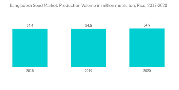 Seed Sector Analysis Bangladesh Industry Bangladesh Seed Market Pro