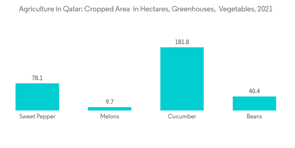 Agriculture In Qatar Industry Agriculture In Qatar Cropped Area In