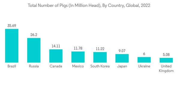 Swine Vaccines Market Total Number Of Pigs In Million Head By Count