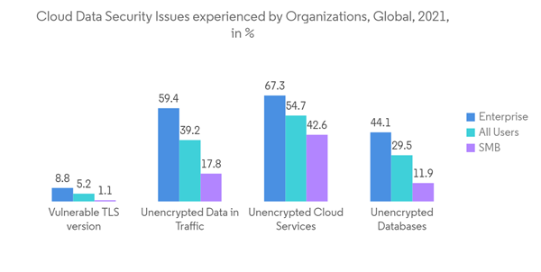 Data Security Market Cloud Data Security Issues Experienced By Orga